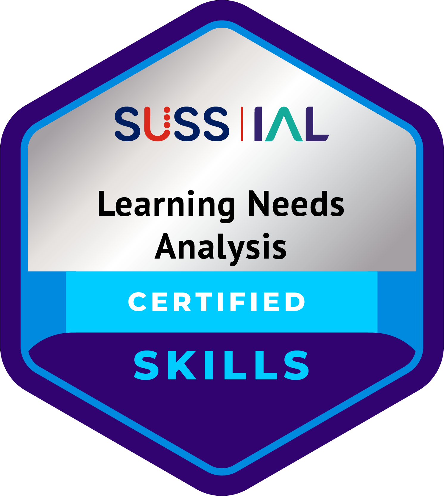Skills-Learning-Needs-Analysis_NoYear.png