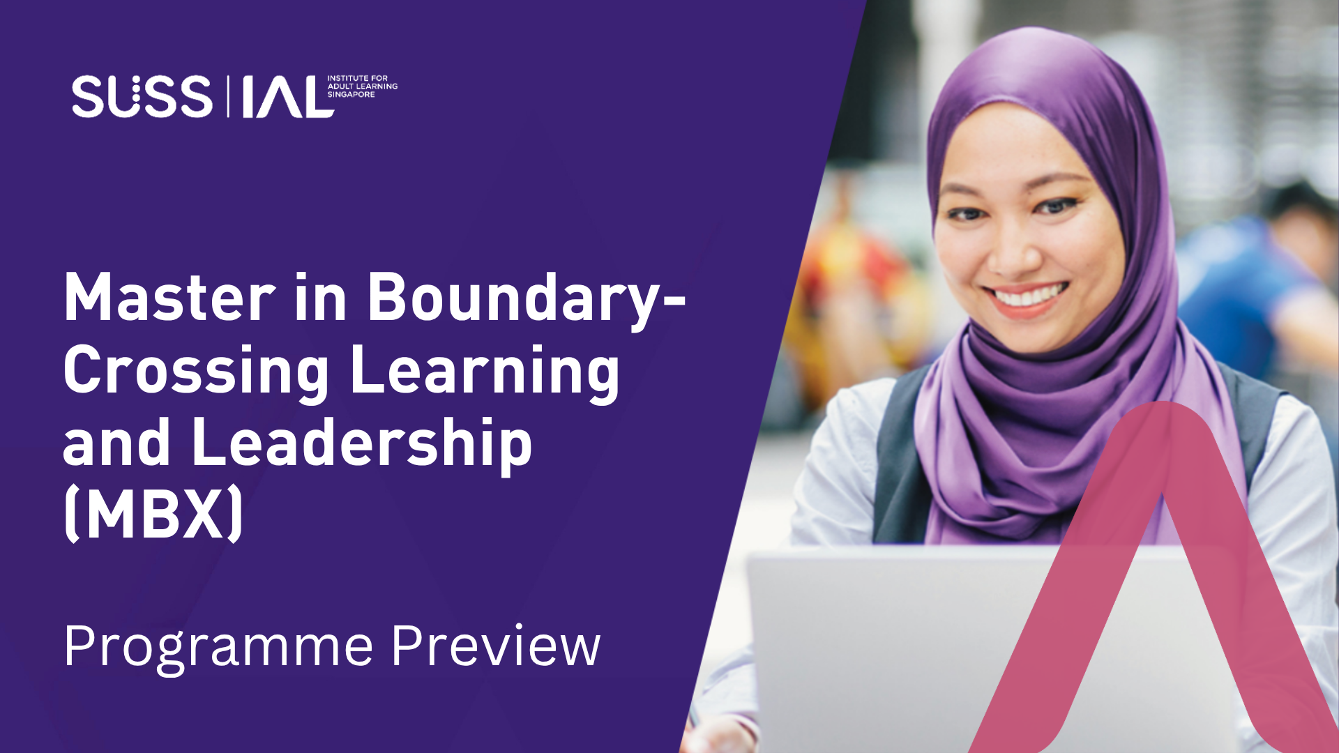 Master in Boundary-Crossing Learning and Leadership (MBX) Preview