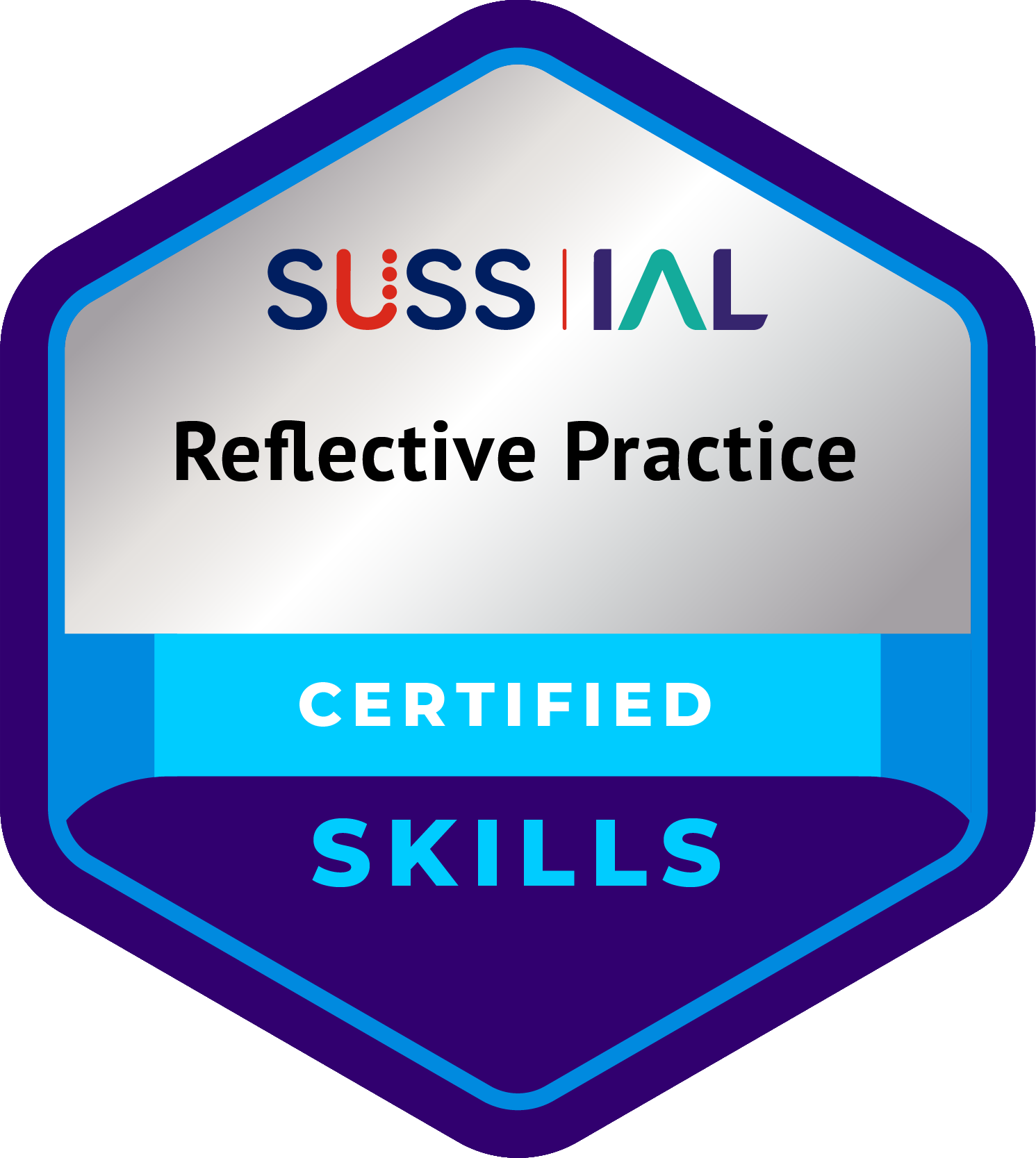 Skills-Reflective-Practice_NoYear.png