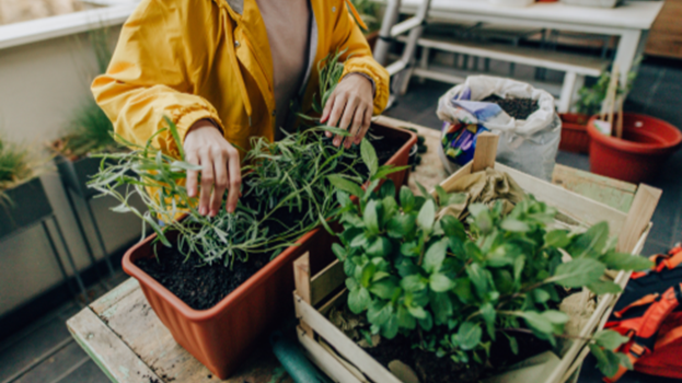 Prince’s Landscape