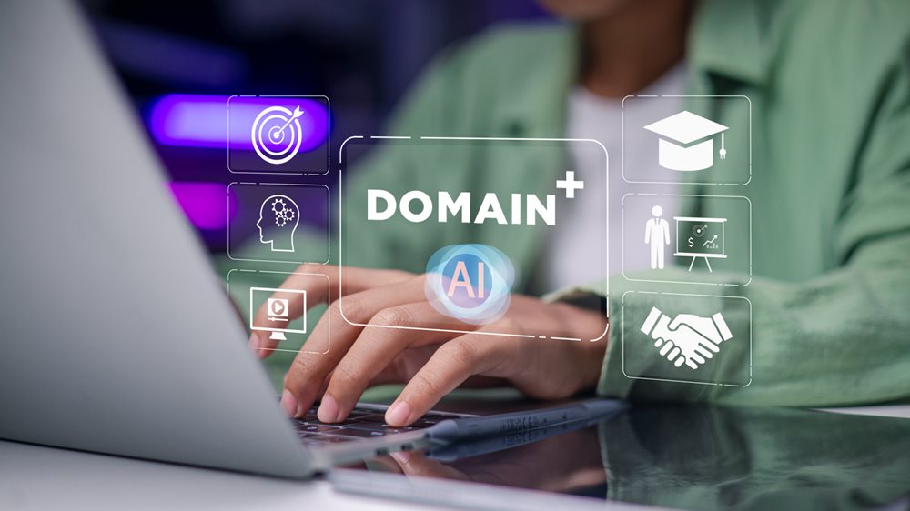 Domain+: Amplifying Expertise at Work with AI