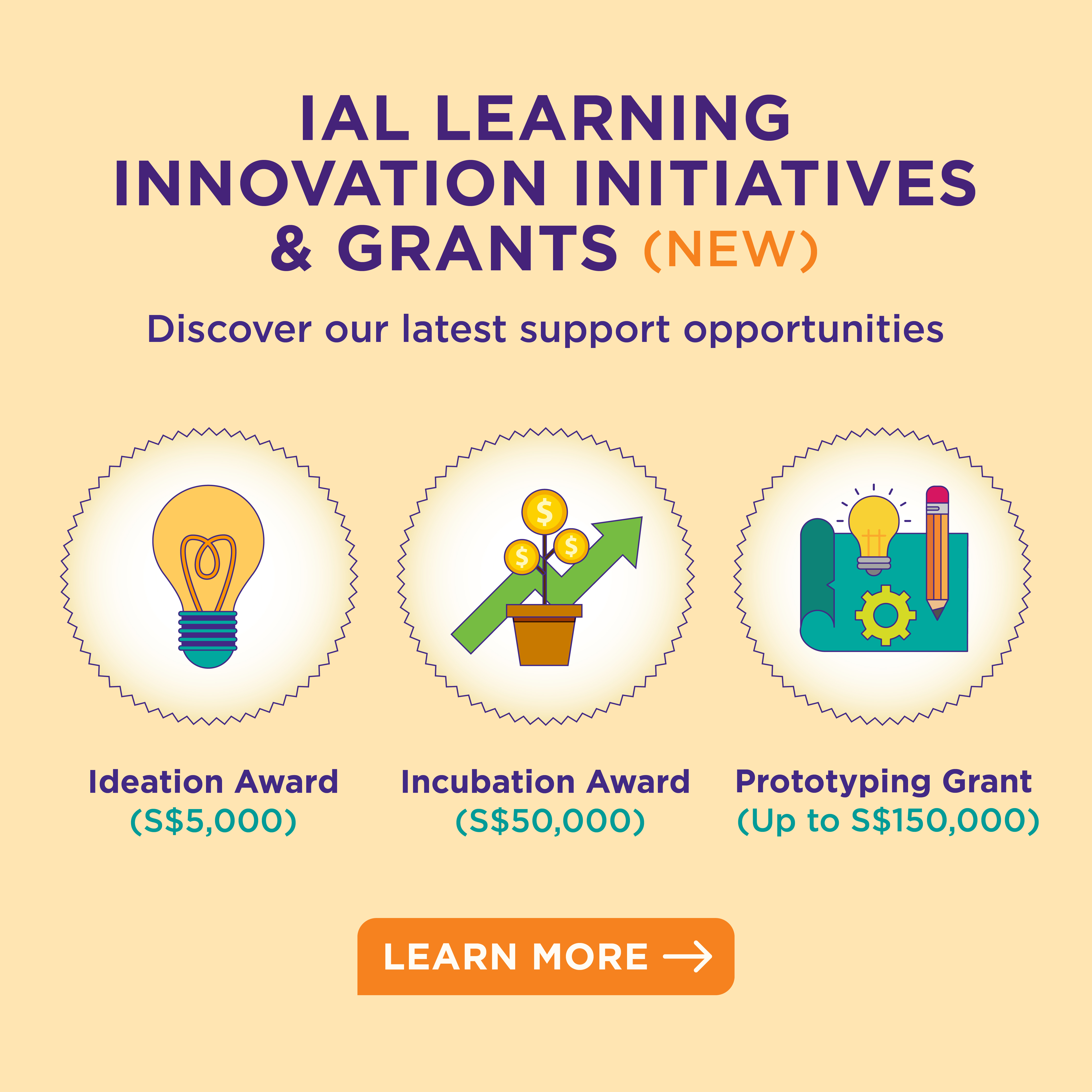 Innovation Grant
