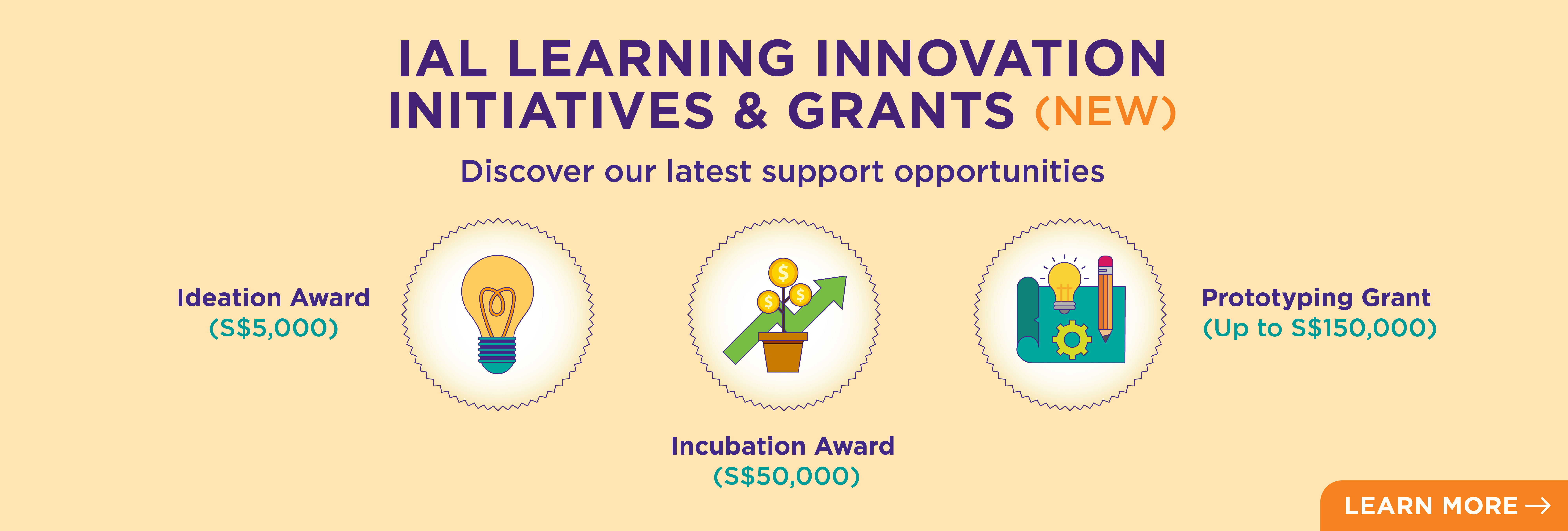 Innovation Grant